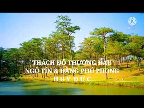 Thách đố thương đau · Huy Đức