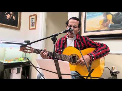 Hình minh họa ca khúc Lỡ mai