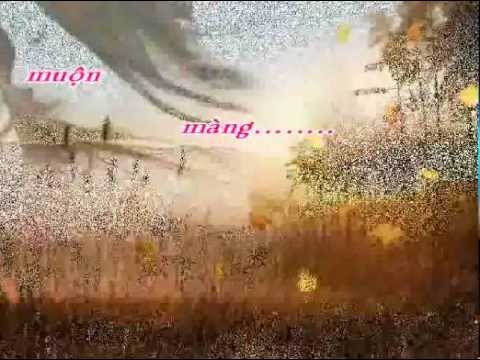 Tiếng gọi thênh thang · Ý Lan