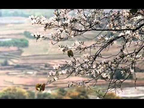 Ảnh minh họa cho Tình tan theo bốn mùa, không phải ảnh tư liệu