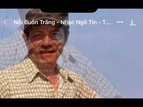 Hình minh họa ca khúc Nỗi buồn trăng