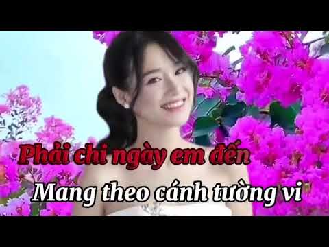 Phải chi · Karaoke