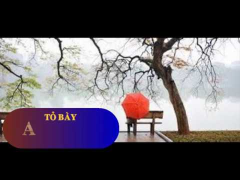Hình minh họa ca khúc Tỏ bày