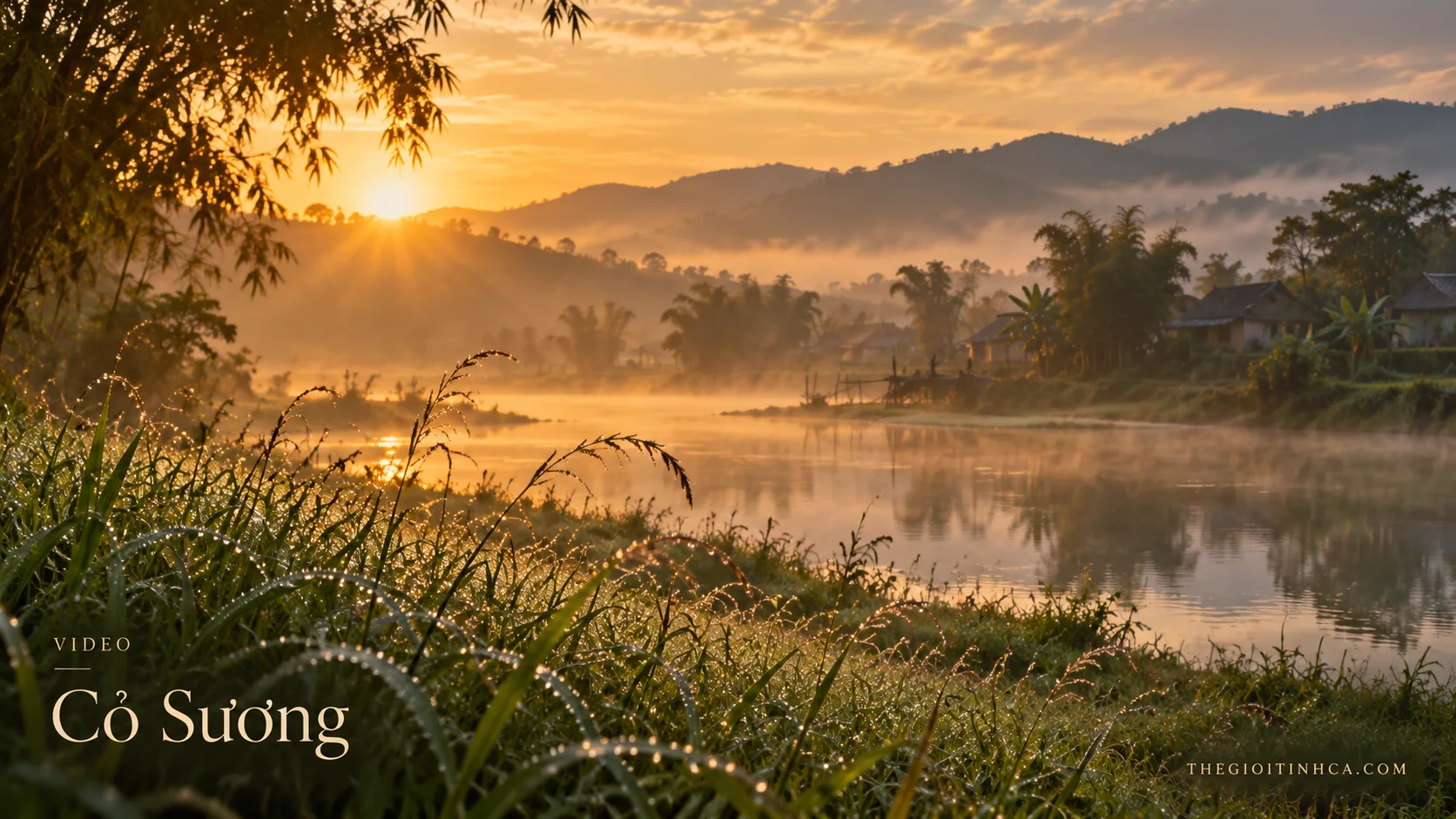 Cỏ Sương