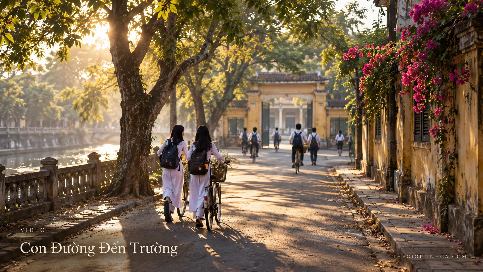 Con Đường Đến Trường