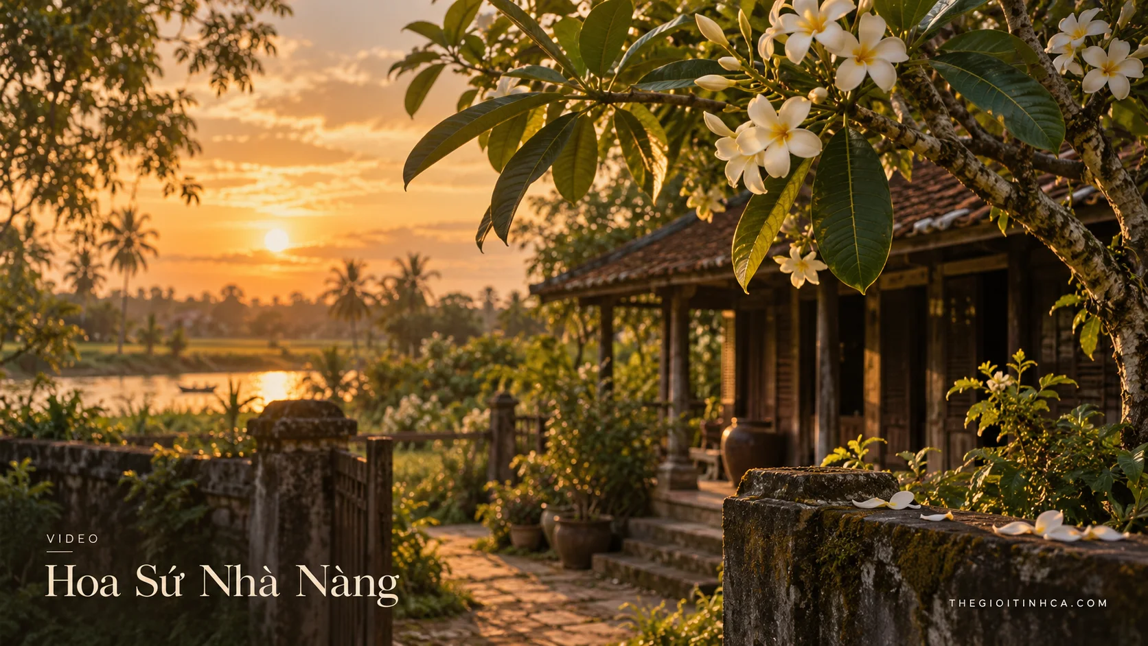 Hoa Sứ Nhà Nàng