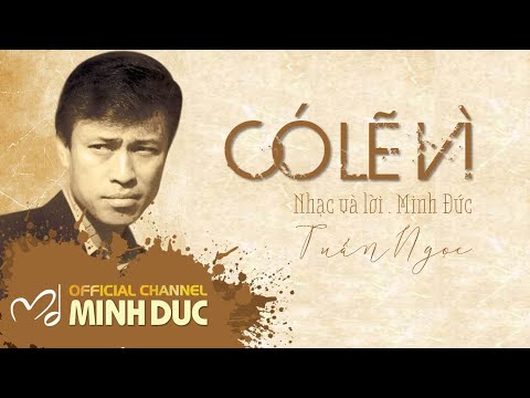 Hình minh họa ca khúc Có lẽ vì