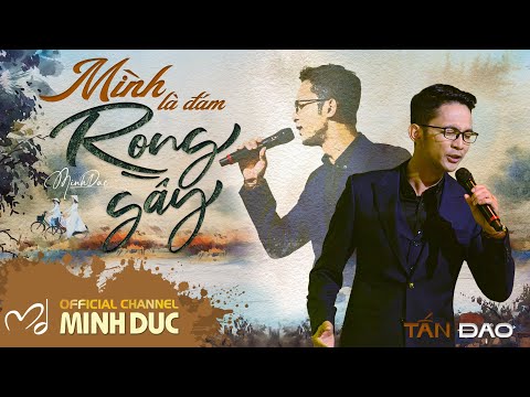 Hình minh họa ca khúc Mình là đám rong gầy