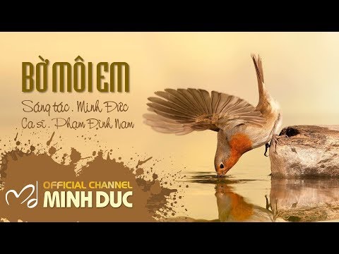 Hình minh họa ca khúc Bờ môi em
