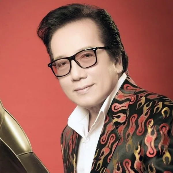 Ảnh minh họa Elvis Phương