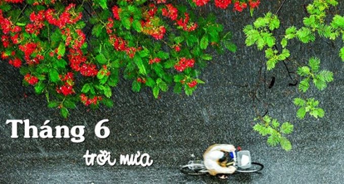 Ảnh minh họa Tháng Sáu Trời Mưa: Câu Chuyện Đằng Sau Một Bài Hát Gây Tranh Cãi