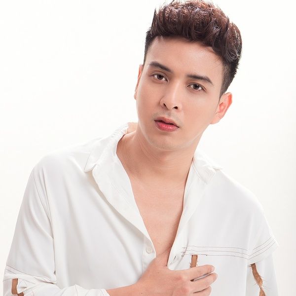 Ảnh minh họa Cánh Hồng Phai