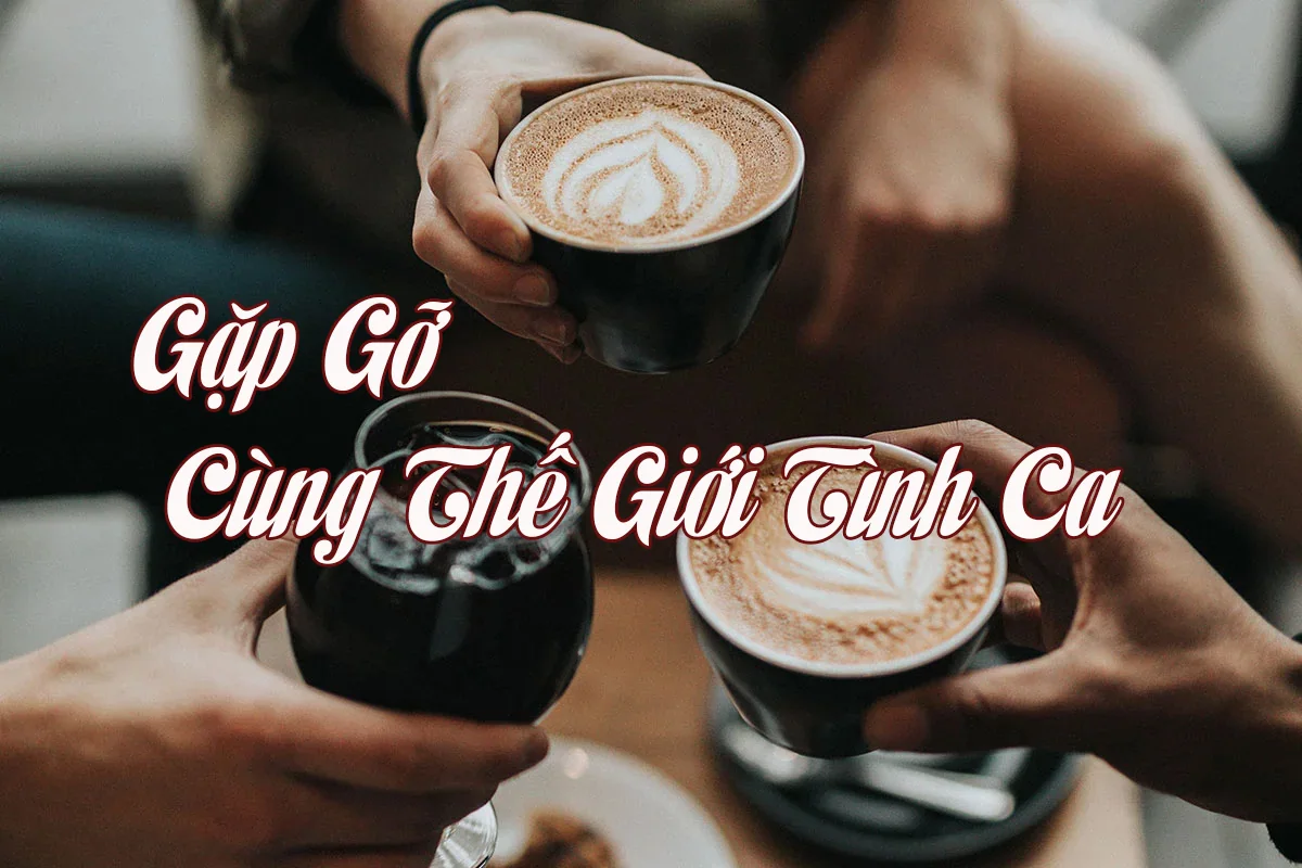 Ảnh minh họa Mỗi Tuần Một Cuộc Gặp Cùng Thế Giới Tình Ca